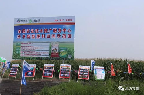 实践检验真理，养土大业迎发展机遇；勇扛大旗，教育咨询谱新篇